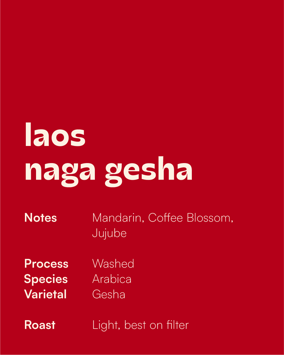 LAOS - Naga Gesha