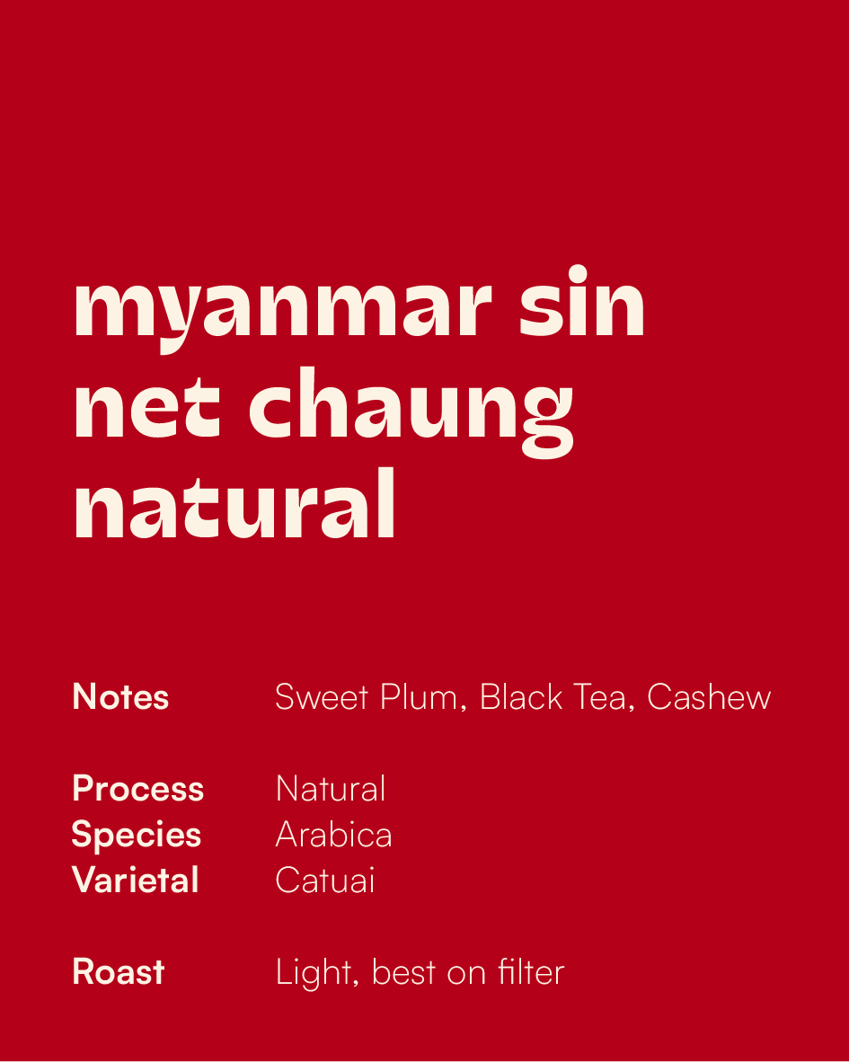 MYANMAR - Sin Net Chaung Natural