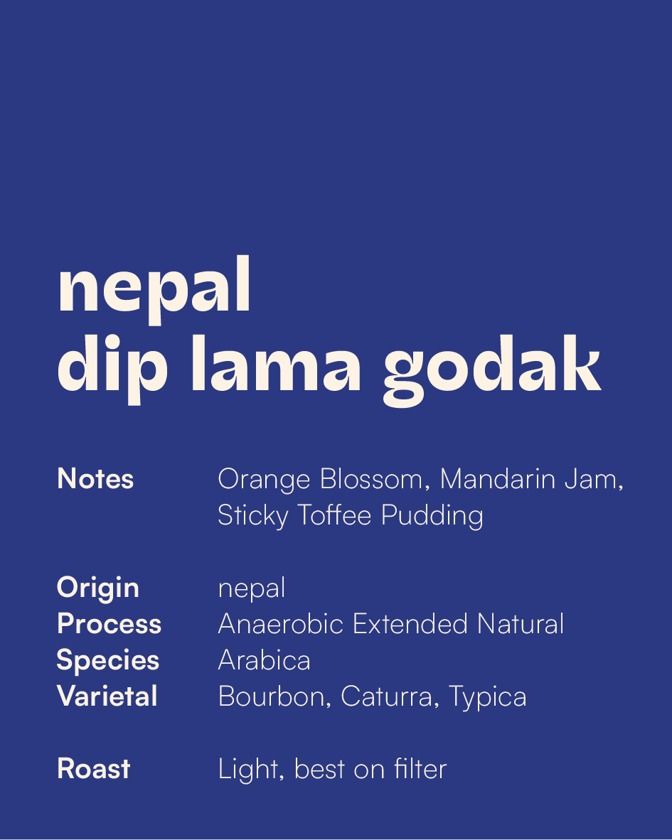NEPAL - Dip Lama Godak