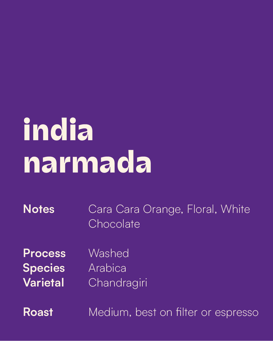 INDIA - Narmada Washed (Espresso/Filter)