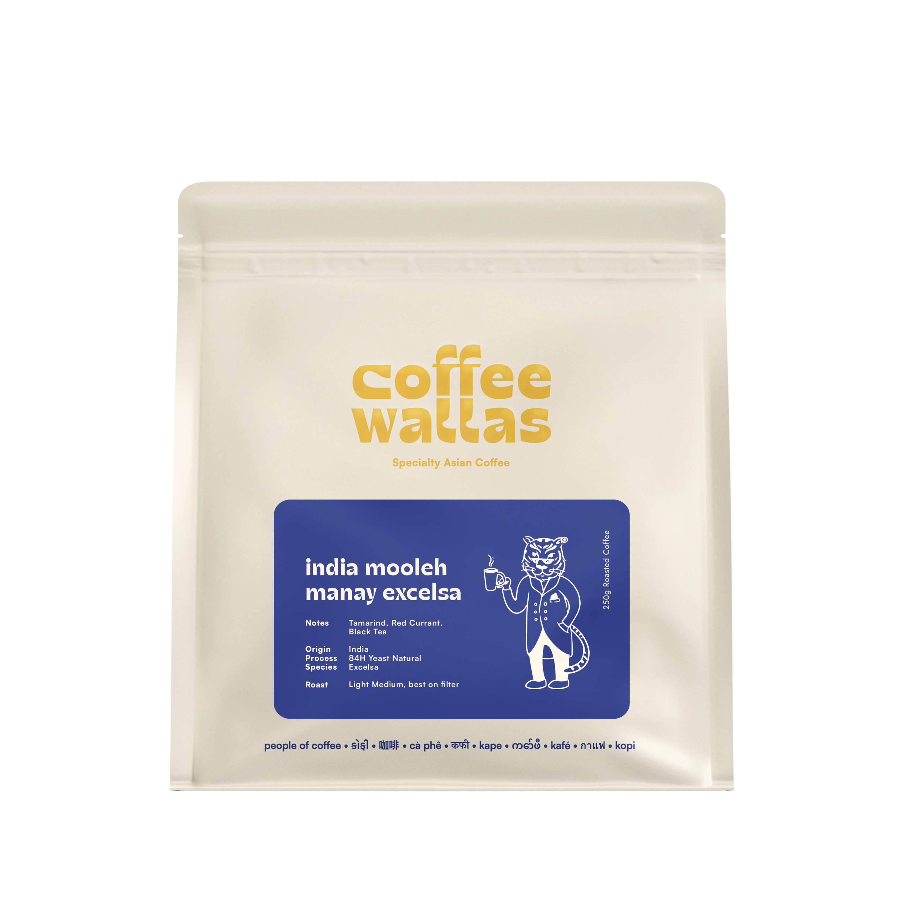 INDIA - Mooleh Manay 84H Yeast Natural Excelsa - Coffee Wallas