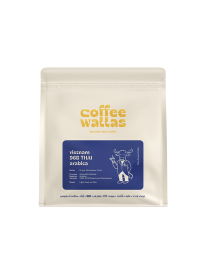 VIETNAM - 96B THA1 Anaerobic Natural