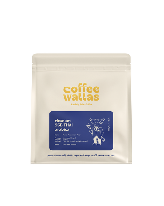 VIETNAM - 96B THA1 Anaerobic Natural