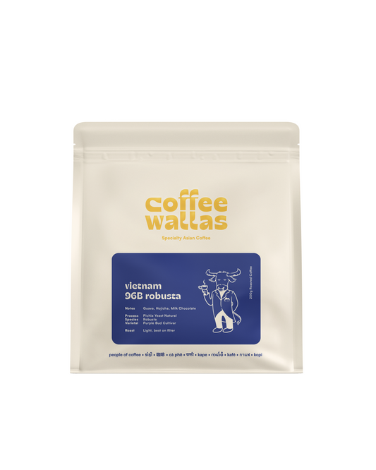 VIETNAM - 96B Pichia Yeast Robusta