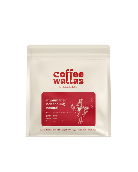 MYANMAR - Sin Net Chaung Natural