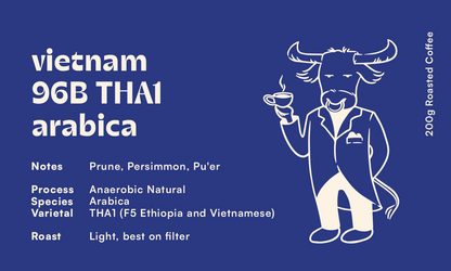 VIETNAM - 96B THA1 Anaerobic Natural