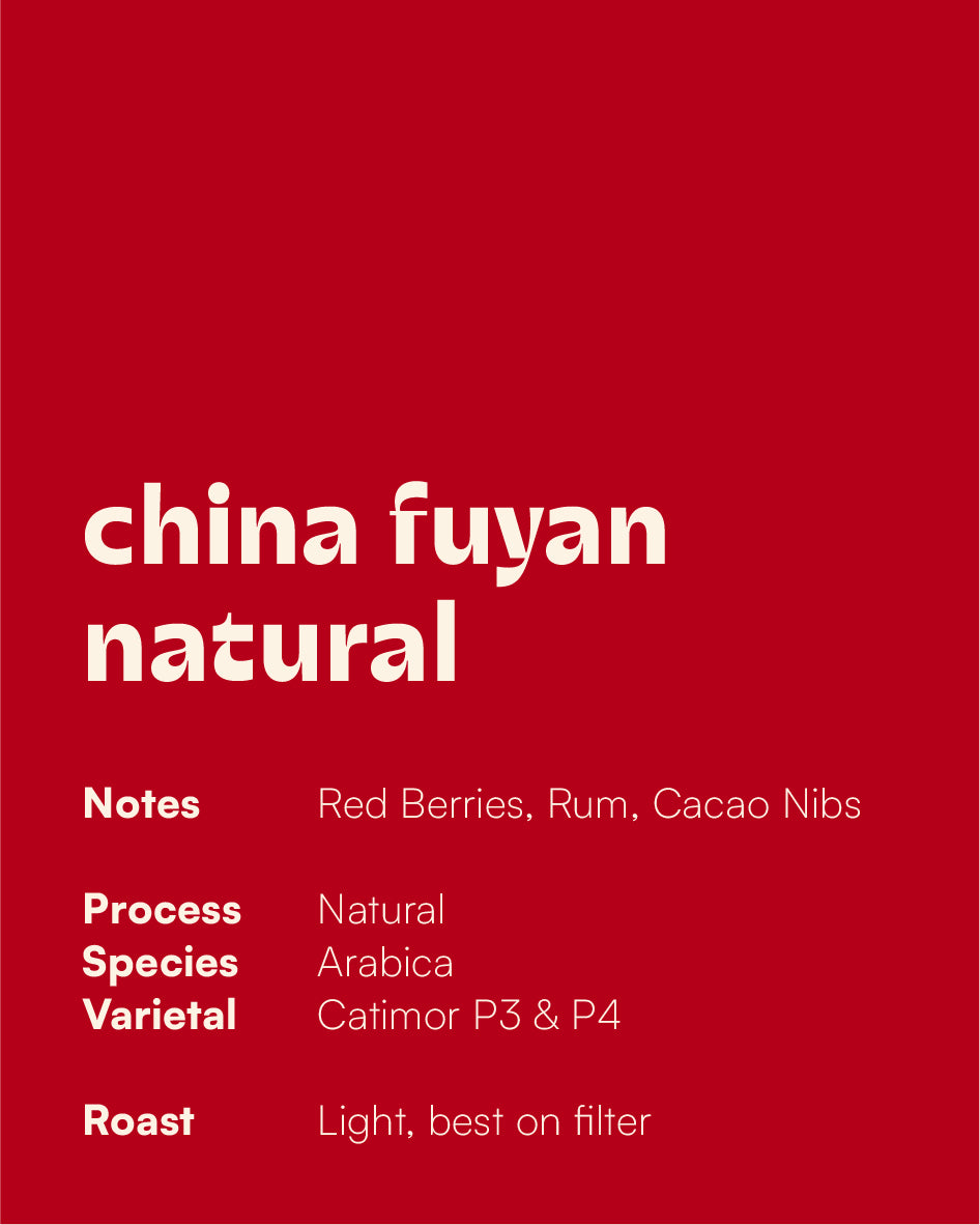 CHINA - Fuyan Natural (Filter)