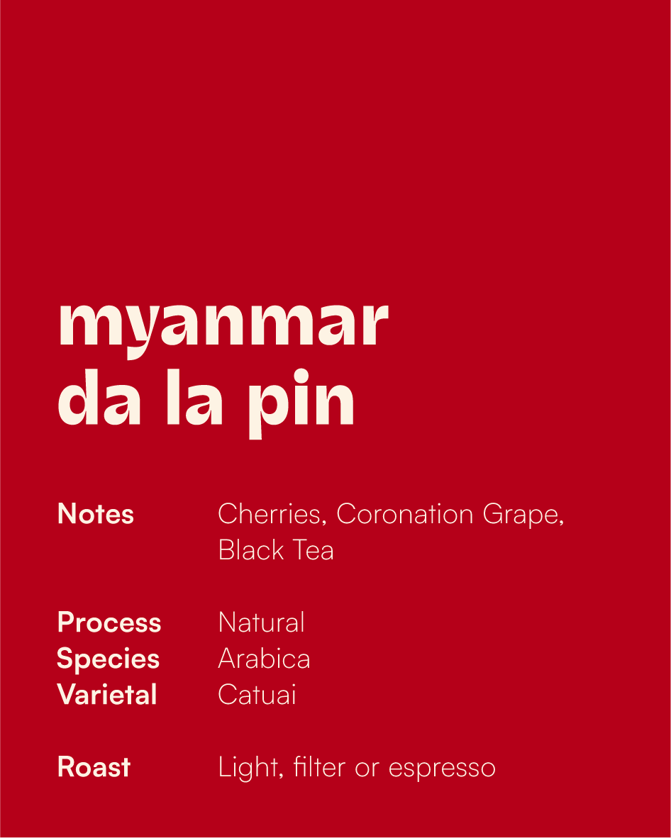 MYANMAR - Da La Pin Natural (Filter)