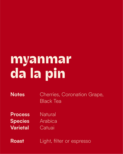 MYANMAR - Da La Pin Natural (Filter)