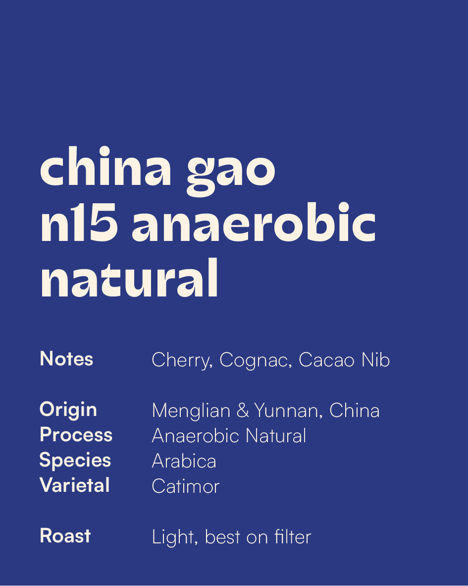 CHINA - Gao Estate N15 Anaerobic Natural