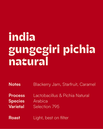 INDIA - Gungegiri Lacto Pichia Natural
