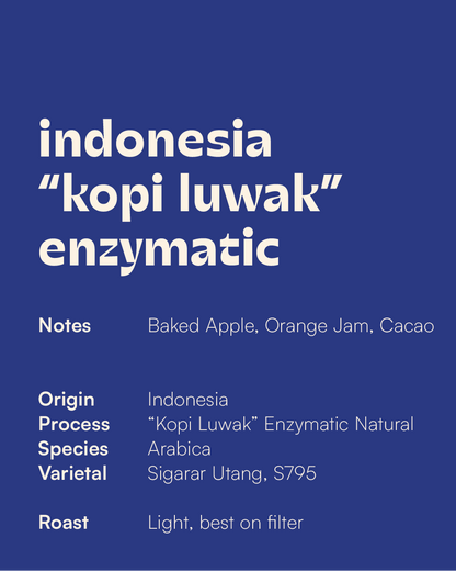 INDONESIA - Rani Mayasari Enzymatic Kopi Luwak Natural