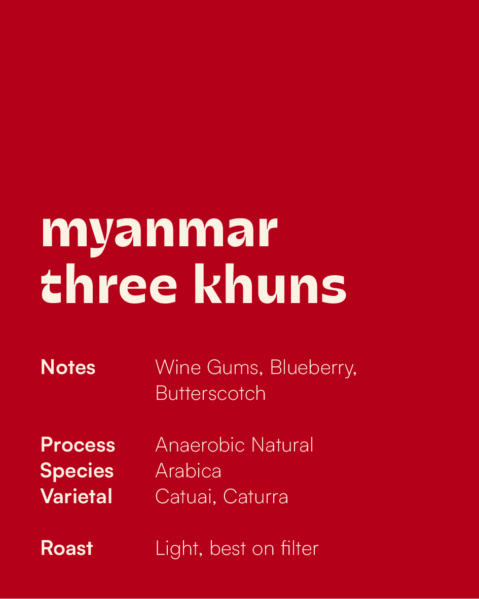 MYANMAR - Three Khuns Anaerobic Natural