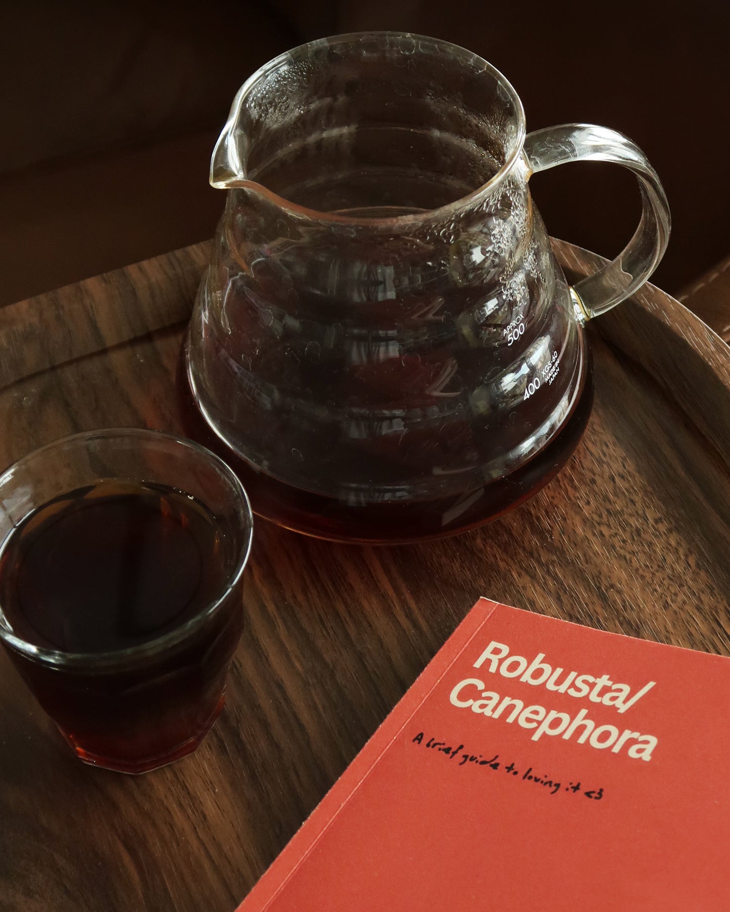 Canephora/Robusta - A Brief Guide To Loving It - By Mikolaj Pociecha