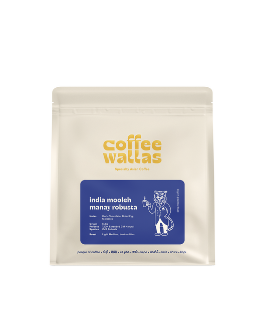 INDIA - Mooleh Manay 120H CM Natural Robusta