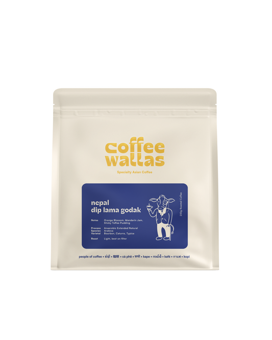 NEPAL - Dip Lama Godak