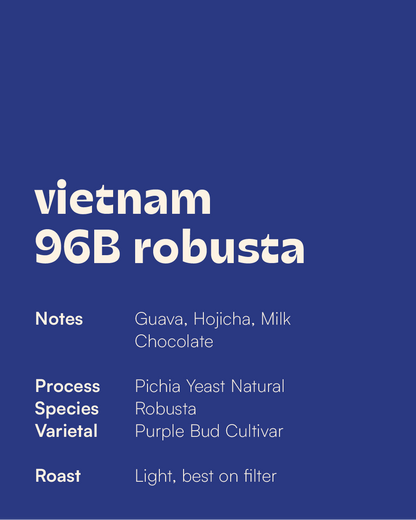 VIETNAM - 96B Pichia Yeast Robusta