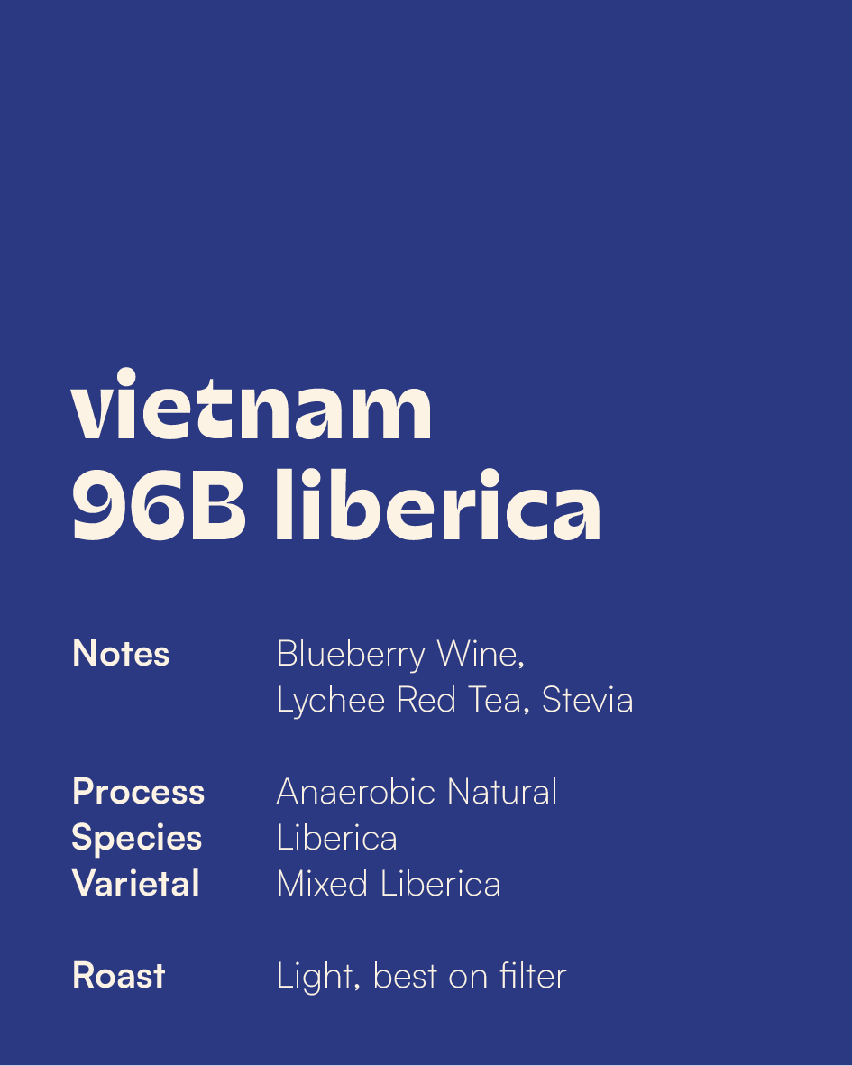 VIETNAM - 96B Liberica